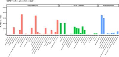 Transcriptome and Comparative Chloroplast Genome Analysis of Vincetoxicum versicolor: Insights Into Molecular Evolution and Phylogenetic Implication